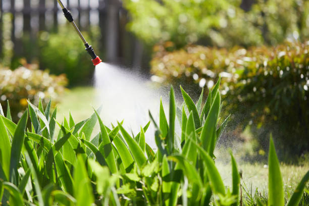 24/7 Emergency Mosquito Control experts in Middle Island, NY