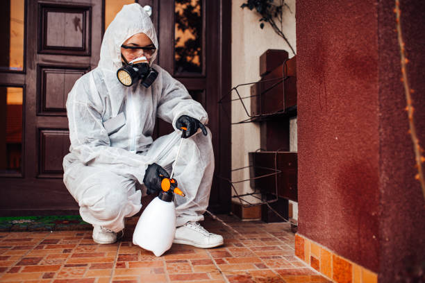 Reliable Mosquito Control contractor in Middle Island, NY by Show Me Pest Control